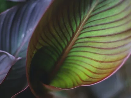 Self-Compassion Practice When Facing Adversities At Work