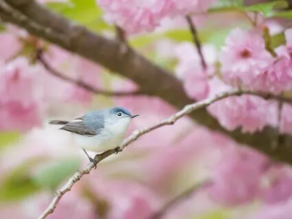 Self-Compassion Practice