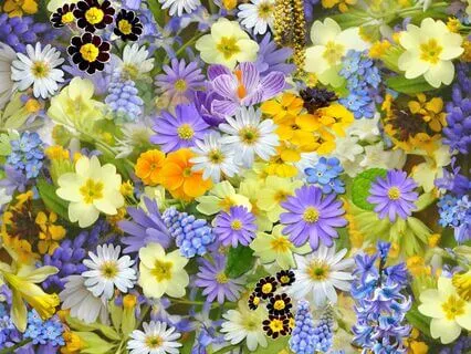 Self-Compassion Sanctuary: Nourish Your Soul