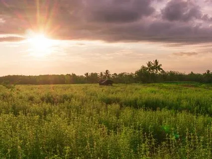 Self-Compassion Serenade: Stress-Free Sounds