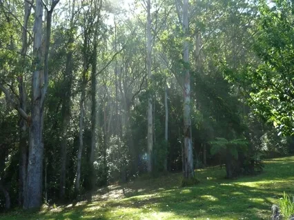 Self Compassion To Reduce Stress