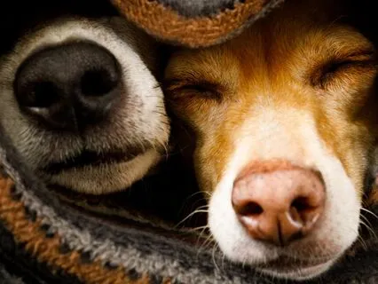 Self Compassion Visualization - A Blanket Of Love