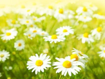 Self-Compassion When Life Feels Hard