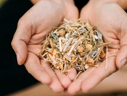 Self Compassion With RAIN