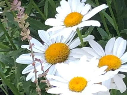 Self Compassion