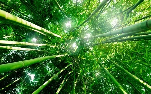 Self-Confidence Affirmations