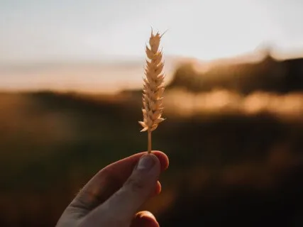 Self-Confidence Affirmative Prayer