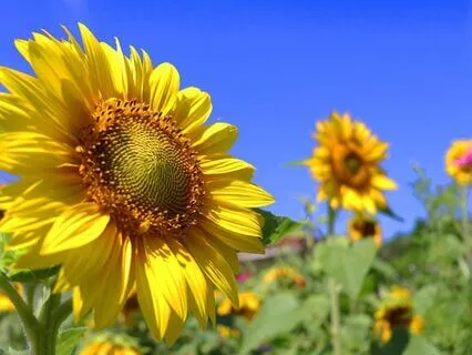 Self-Confidence And Empowerment Affirmations