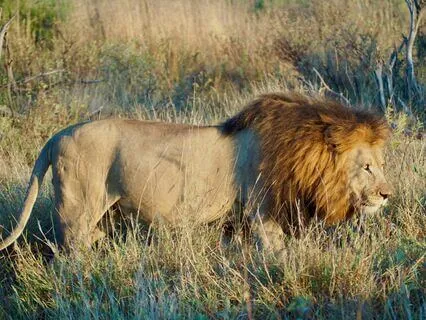 Self Confidence And Healthy Ego Strengthening