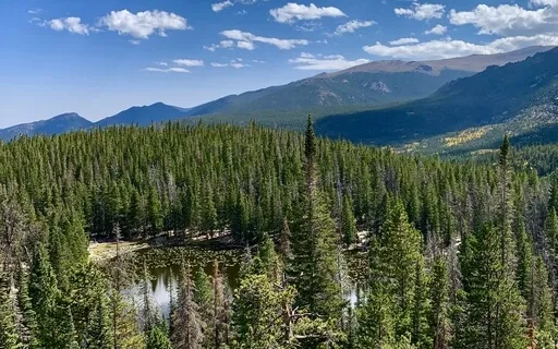 Self-Confidence Meditation For Alopecia Areata  