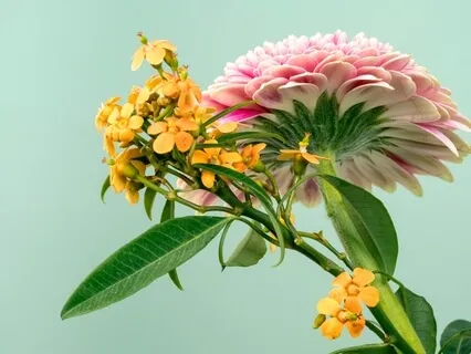 Self Discovery Is Joy Of Conscious Living By Moving & Living