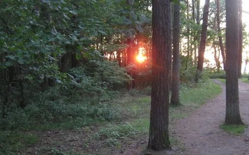 Self-Empowerment: It Is In Your Hands