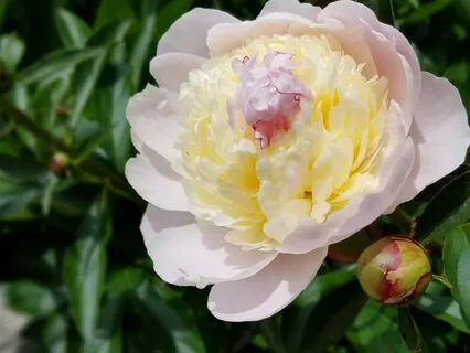 Self Esteem Affirmations