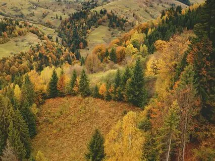 Self-Esteem Boost: Calm And Confident