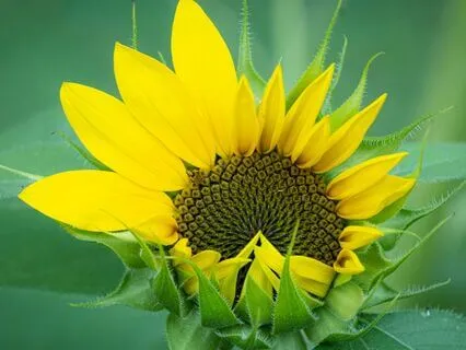 Self-esteem Boost Morning Meditation