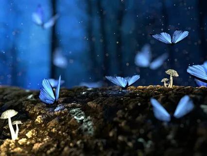 Self-Esteem Boost! Welcome To The Divine Garden