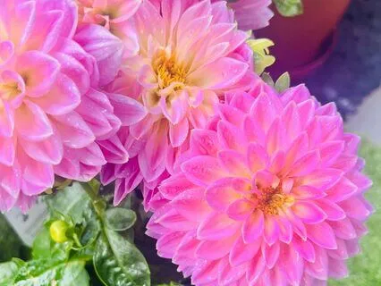 Self Esteem: I Worth It