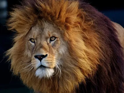 Self Esteem Meditation