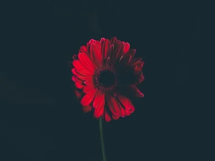 Self-Expression & Anger (What Is Now? Podcast)