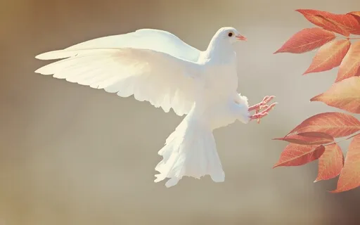 Self Forgiveness | Achieve Complete Forgiveness Of Yourself