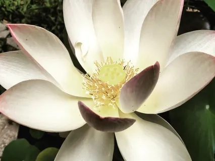 Self Forgiveness And Shedding The Old You