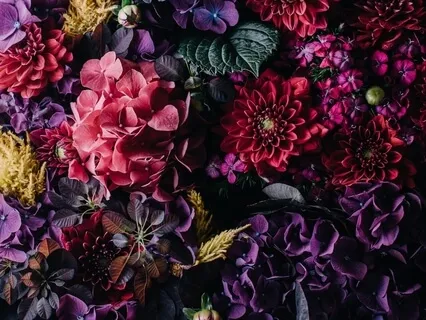 Self Forgiveness Healing Session