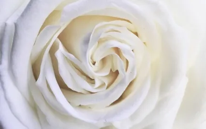 Self Forgiveness Meditation