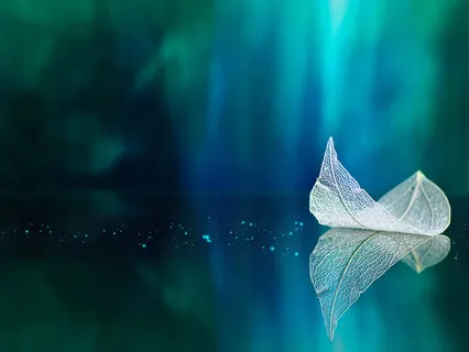 Self Forgiveness (No Gong)