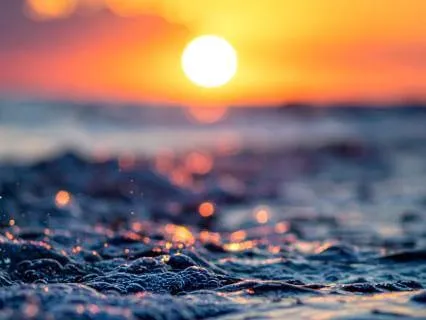 Self-Forgiveness | Octopus Spirit Guide