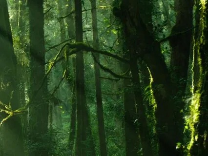 Self-Friendliness and Grounding For Inner Strength