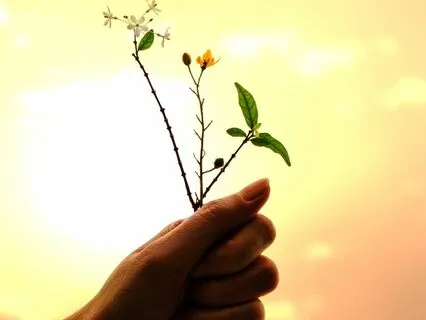 Self Gratitude Meditation