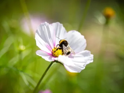 Guided and Soothing Self Massage