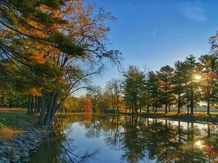 Self-Havening Meditation To Design Your Day For Success