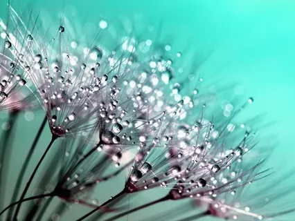 Self Healing Guided Meditation