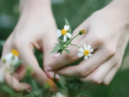 Self Healing Guided Practice