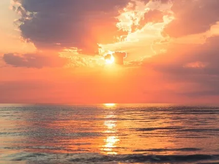 Guided Self Healing To Influence The Cells 