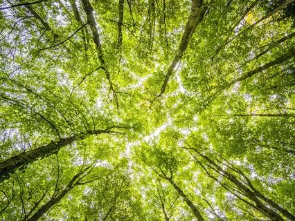 Self-Healing Kriya Meditation