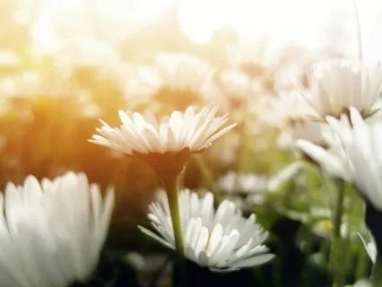 Self-Healing Meditation For Mom's And Moms-To-Be