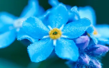 Self-Healing Meditation - Loving Kindness For Self