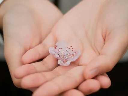 Self-Healing Meditation