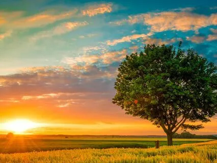 Self-Healing Strategies For Chronic Illness: What Works?