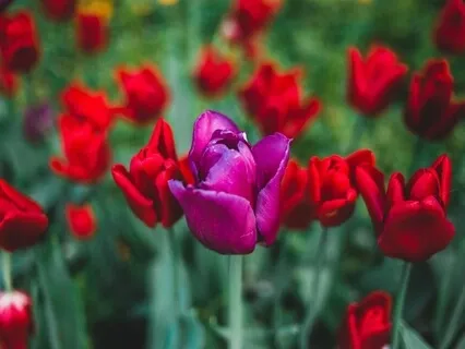 Self-Image Affirmations