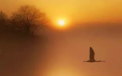 Self-Inquiry  1- Awareness Of Subject Vs Object Meditation