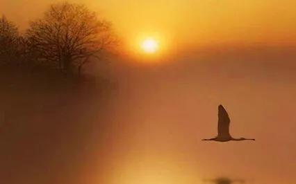 Self Inquiry 10 - Self Enquiry Theory