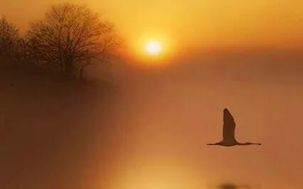 Self Inquiry 12 - Self-Enquiry Theory 