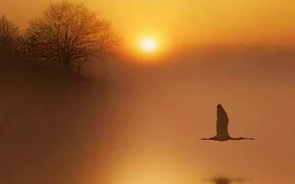 Self Inquiry 16 - Advaita In A Nutshell