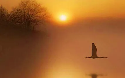 Self-Inquiry 18 - Self-Enquiry Practice