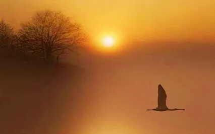 Self Inquiry 2 - Understanding The Stages Of Self Inquiry