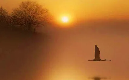 Self Inquiry 5 - Understanding Awareness As Consciousness