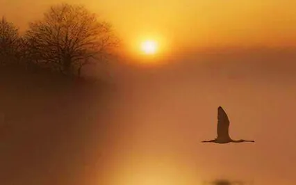 Self-Inquiry 6 - Self Enquiry Theory 